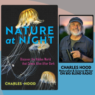 Nature Connection Radio