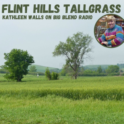 Nature Connection Radio