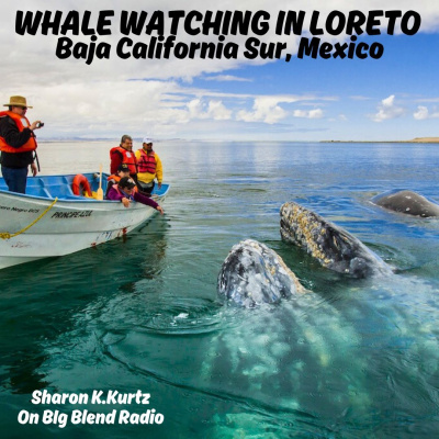 Nature Connection Radio