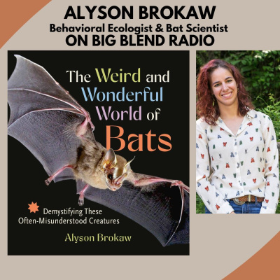 Nature Connection Radio