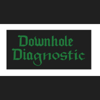 WTGS 2023: Downhole Diagnostics
