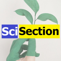 From a Crime Ridden City to Spine Surgery (Interview with YouTube’s Dr. Webb)