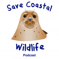 Come on People! Save the Vaquita Porpoise before its gone forever!