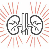 Controversies in Kidney Stones