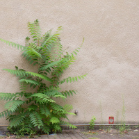 Film-Making as Urban Research