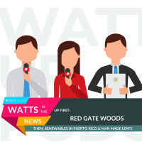 WITN: Red Gate Woods, Rebuilding Puerto Rico, and a Viral Hijinx