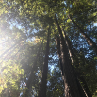 What the docents know: trailer