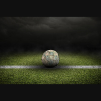 Protecting the beautiful game: In search of sustainability