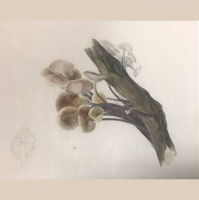 Imperial College Podcast