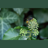 Hay otras formas de enseñar