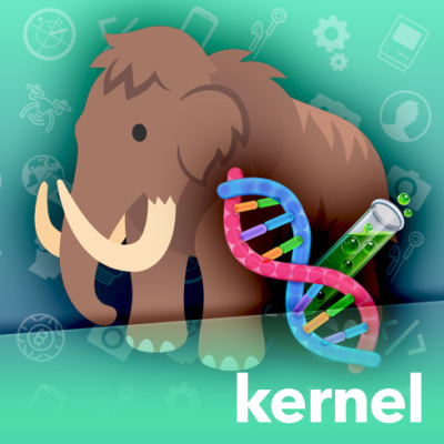 Kernel