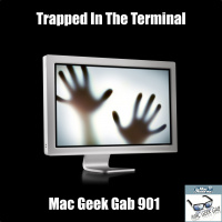 Trapped In The Terminal