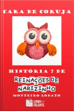 Cara de coruja: história 7 de Reinações de Narizinho
