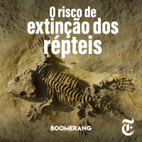 T7E1: O risco de extinção de répteis