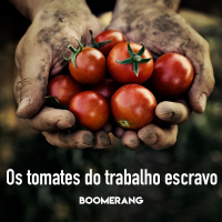 T1E4: Os tomates do trabalho escravo