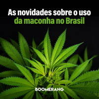T10E12: As novidades sobre o uso da maconha no Brasil