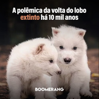 T14E12: A polêmica da volta do lobo extinto há 10 mil anos