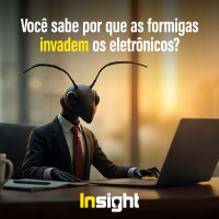 T19E9: Você sabe por que as formigas invadem os eletrônicos?