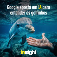 T19E3: Google aposta em IA para entender os golfinhos