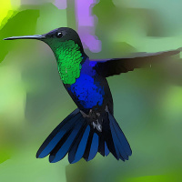 36. A felicidade nas pequenas coisas