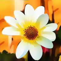 39. Abraçando a vida como ela é