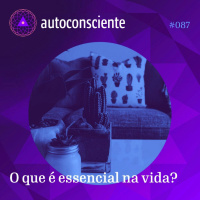 87. O que é essencial na vida?