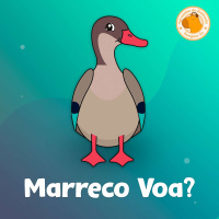 Turma do Banhado | 02. Marreco Voa?