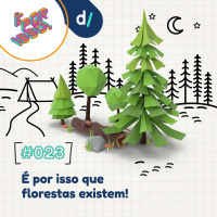 É Por Isso! #23 - É por isso que florestas existem!