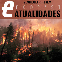 Queimadas na Amazônia e desastres ambientais