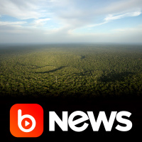 Ubook News - 19/02/2020