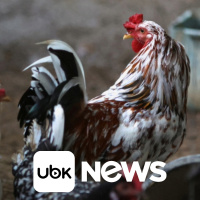 ECONOMIA - Bessent diz estar otimista de que a Suprema Corte manterá a legalidade das tarifas