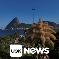 BRASIL - Décadas após plantadas, palmeiras raras florescem pela primeira e última vez no Rio