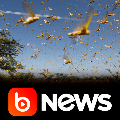 Diário de Notícias