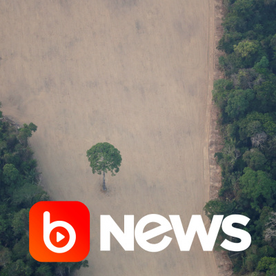 Diário de Notícias