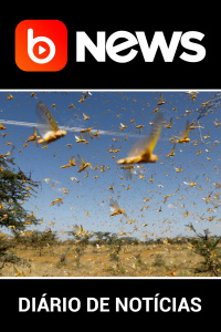 Diário de Notícias - 02/03/2020