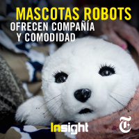 Episodio 26: Mascotas robots ofrecen compañía y comodidad