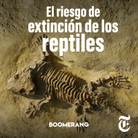Episodio 53: El riesgo de extinción de los reptiles 