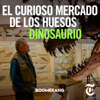 Episodio 84: El curioso mercado de los huesos dinosaurio