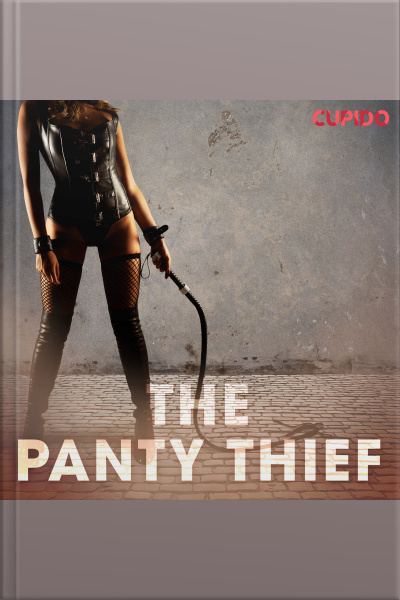 The Panty Thief