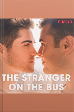 The Stranger On The Bus