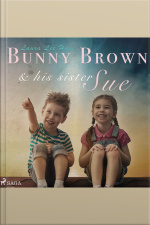 Bunny Brown And His Sister Sue