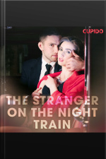 The Stranger On The Night Train
