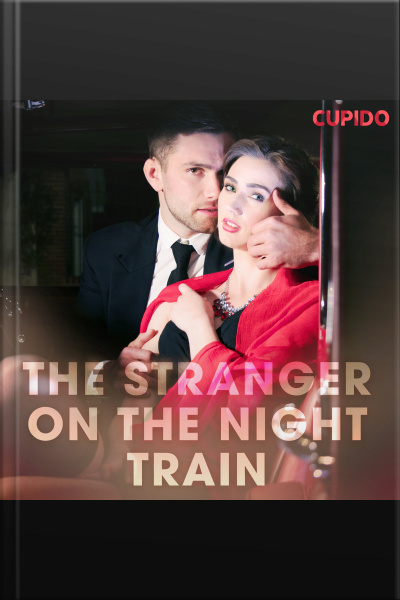 The Stranger On The Night Train