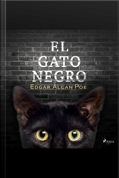 El Gato Negro