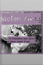 Vierundzwanzig Stunden Aus Dem Leben Einer Frau (ungekürzt)