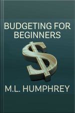 Budgeting For Beginners