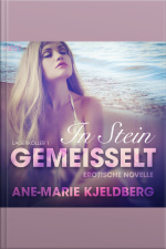 Lagerkoller 1: In Stein Gemeißelt - Erotische Novelle