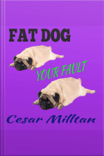 Fat Dog - Your Fault