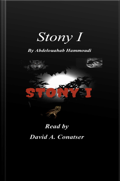 Stony I