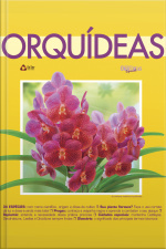 O Mundo Das Orquídeas Especial Edição 6